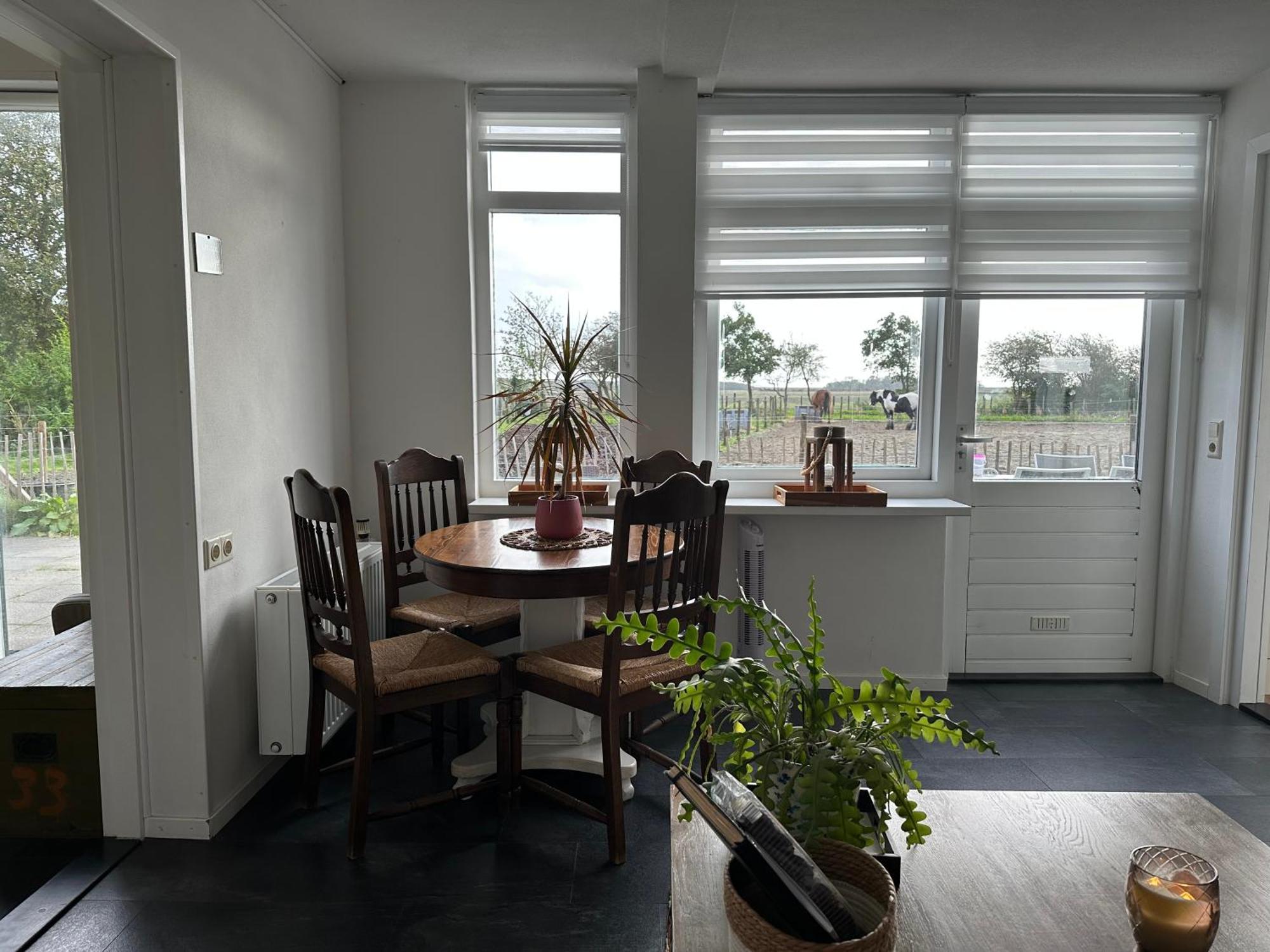 Het Tinkerparadijs, Paarden, Rust En Ruimte. Burgh-Haamstede Exterior foto